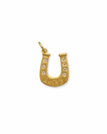 Lucky Horseshoe Charm