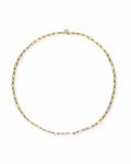 Everyday Charm Chain